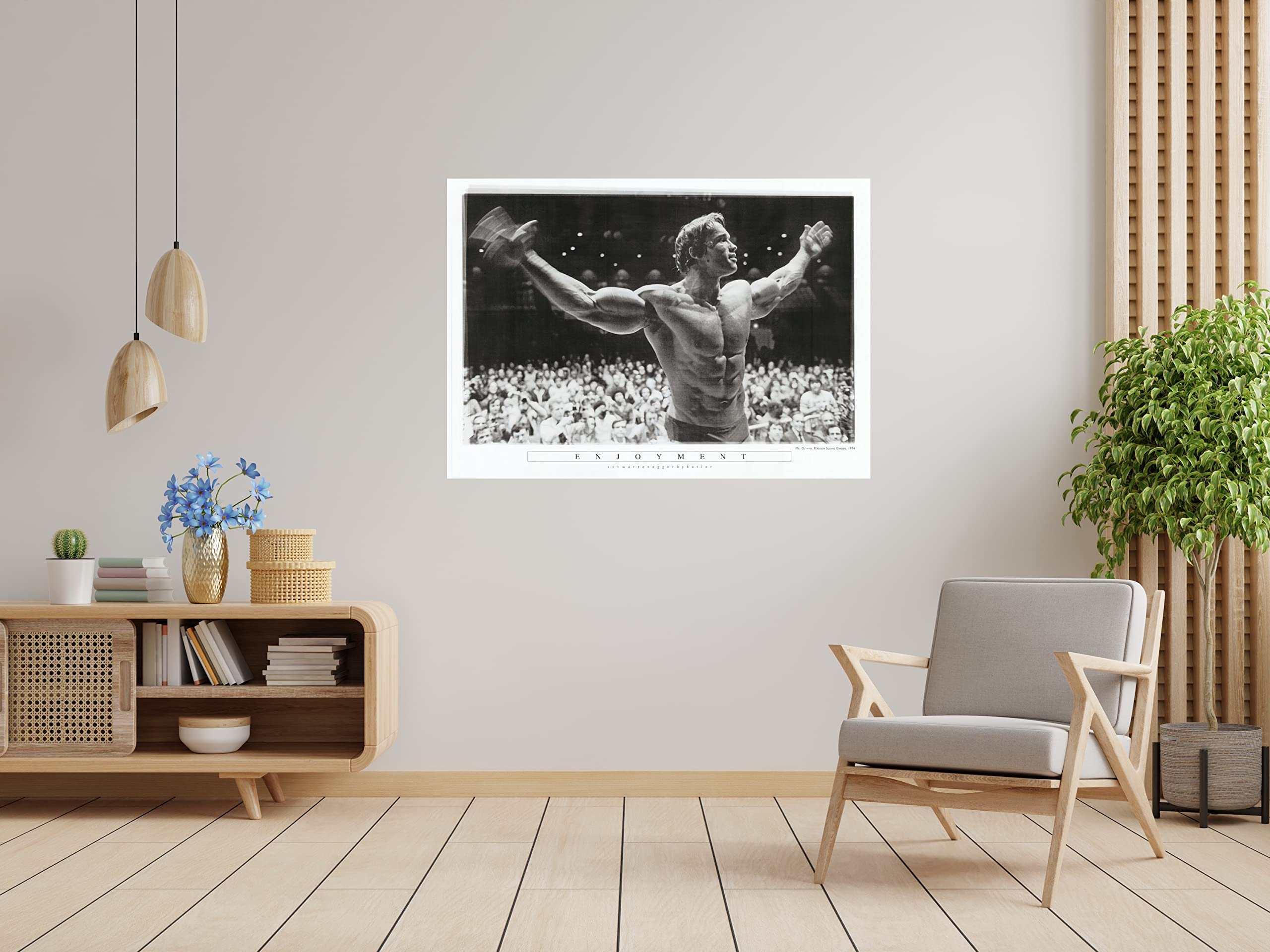 Arnold Schwarzenegger: Mr. Olympia 1974 | US Import Cinema Poster